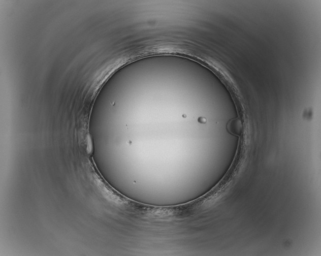 X0000111190801200907151348