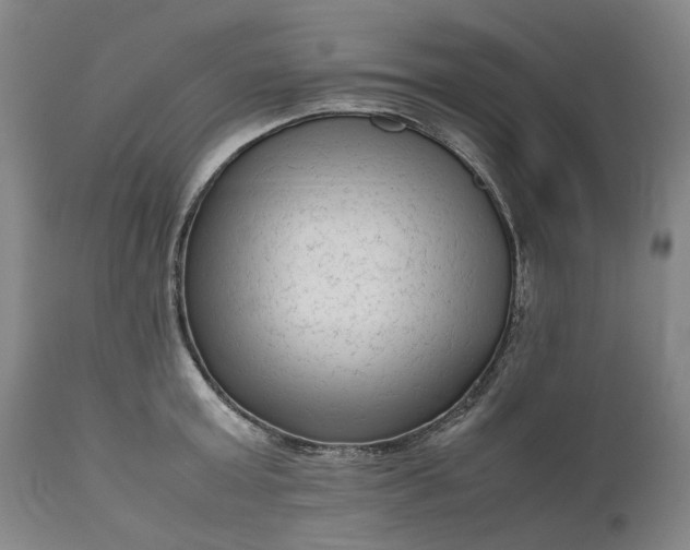 X0000111190803200907151348