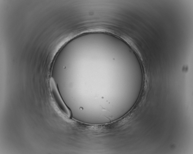 X0000111190805200907151348