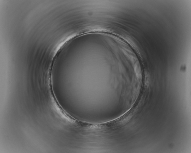 X0000111190806200907151348