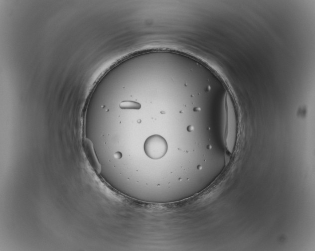 X0000111190807200907151348