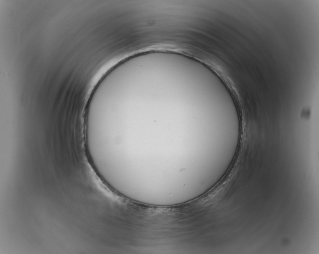 X0000111190808200907151348