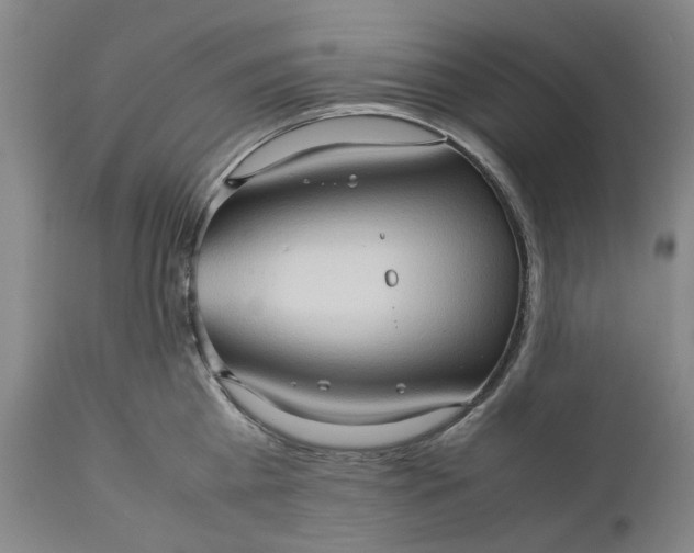 X0000111190809200907151348