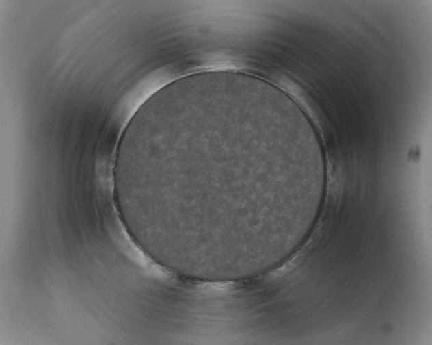 X0000111190810200907151348