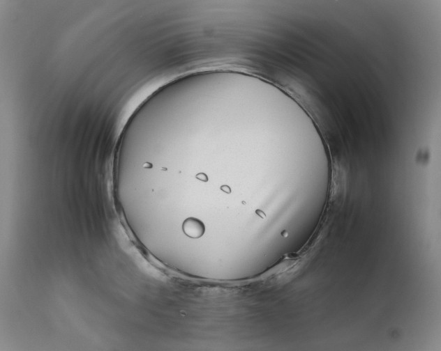 X0000111190812200907151348