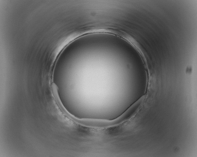 X0000111190813200907151348