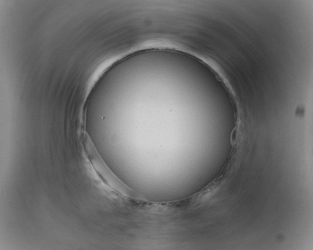 X0000111190815200907151348