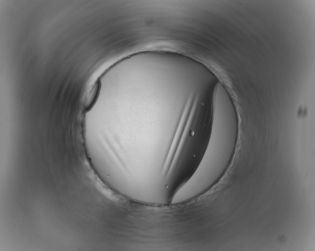 X0000111190816200907151348