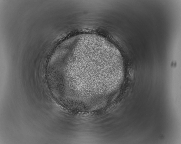 X0000111190817200907151347