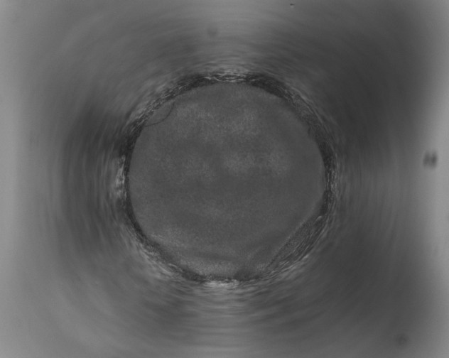 X0000111190818200907151347