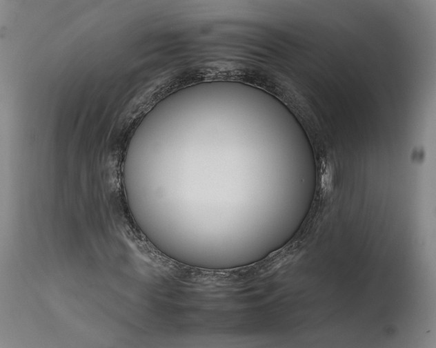 X0000111190819200907151347