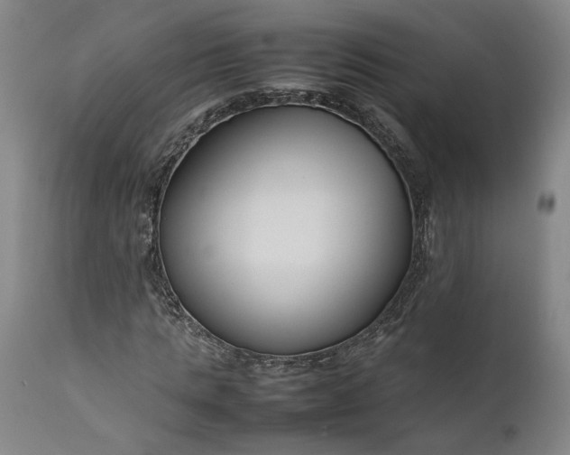 X0000111190821200907151347