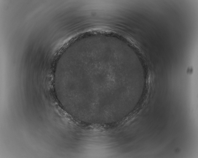 X0000111190822200907151347