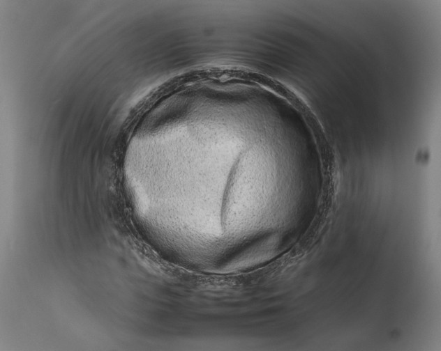 X0000111190823200907151347