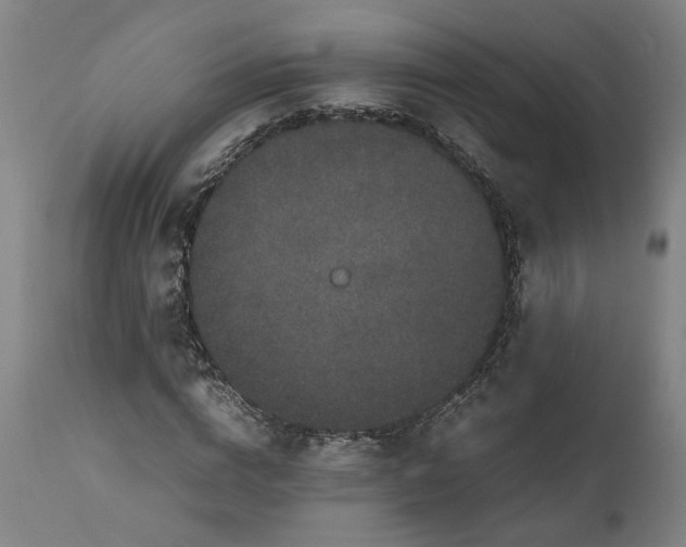 X0000111190824200907151347