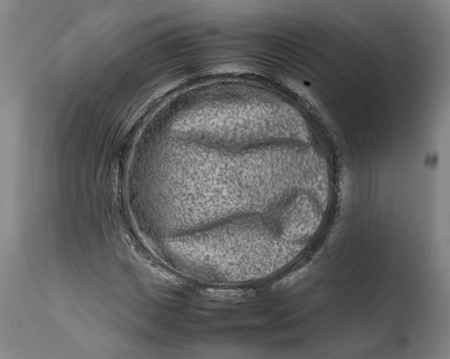 X0000111190825200907151347