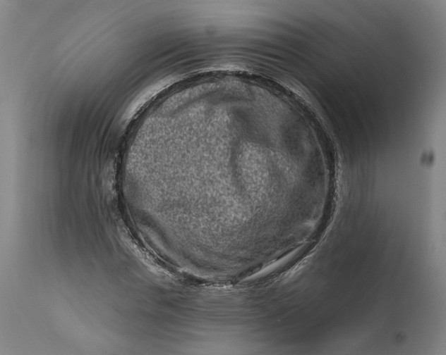 X0000111190826200907151347