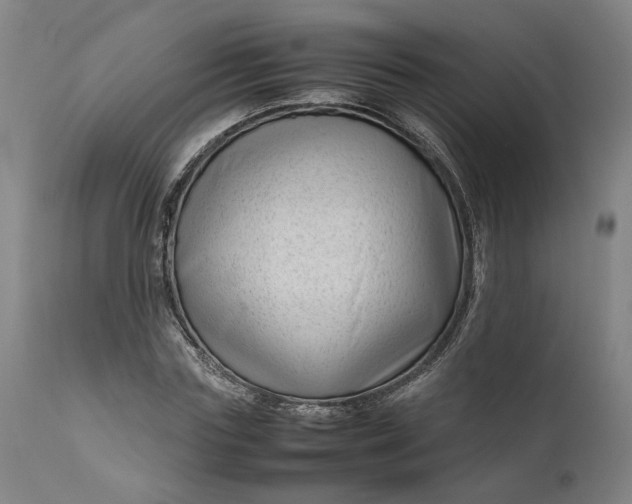 X0000111190827200907151347