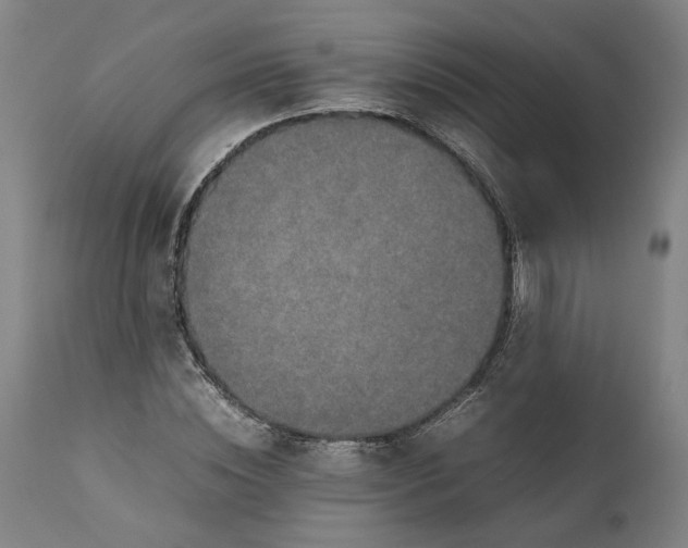 X0000111190828200907151347