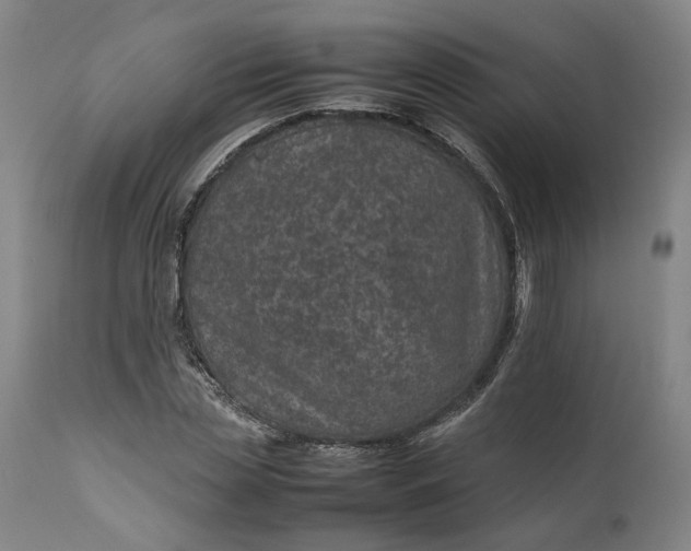 X0000111190829200907151347