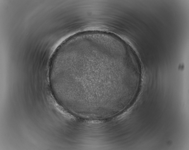 X0000111190830200907151347