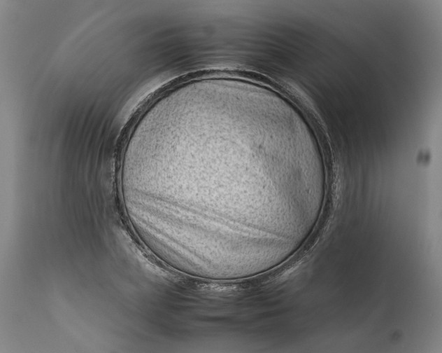 X0000111190831200907151347