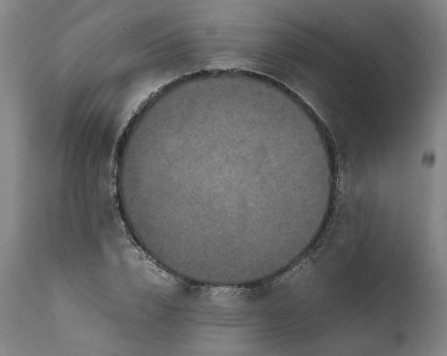 X0000111190832200907151347