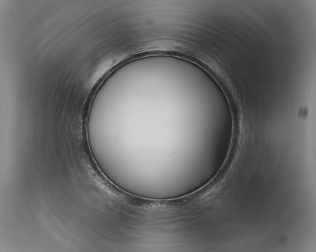 X0000111190834200907151347