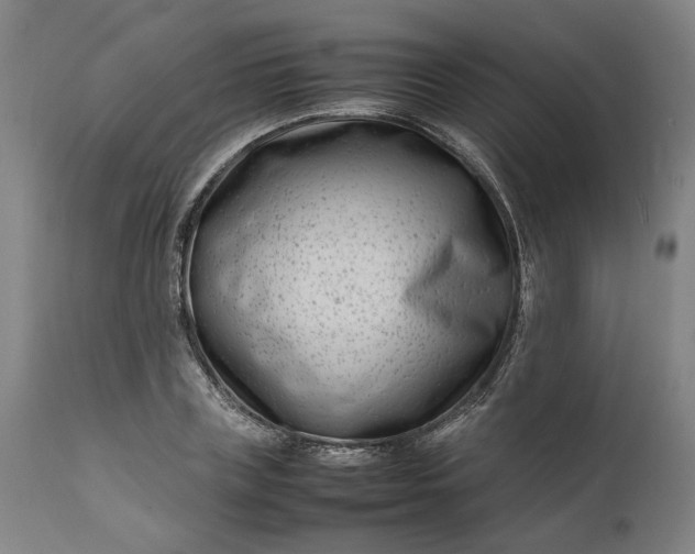 X0000111190835200907151347