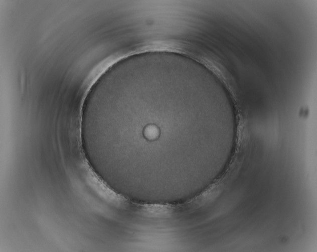 X0000111190836200907151347