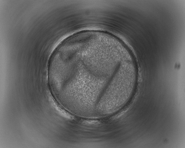 X0000111190837200907151347