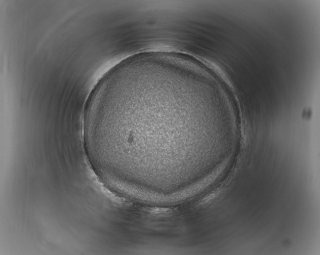 X0000111190839200907151347