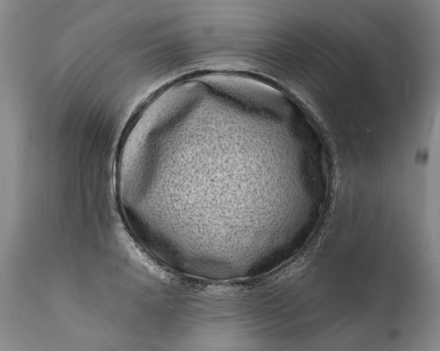 X0000111190840200907151347