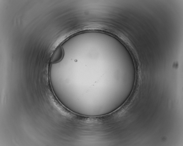 X0000111190842200907151347