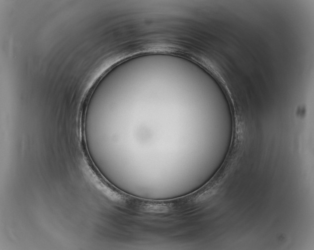 X0000111190843200907151347