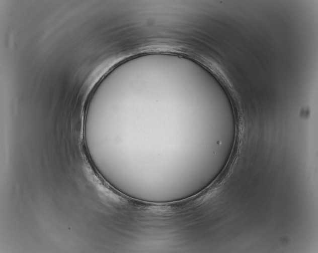 X0000111190844200907151347