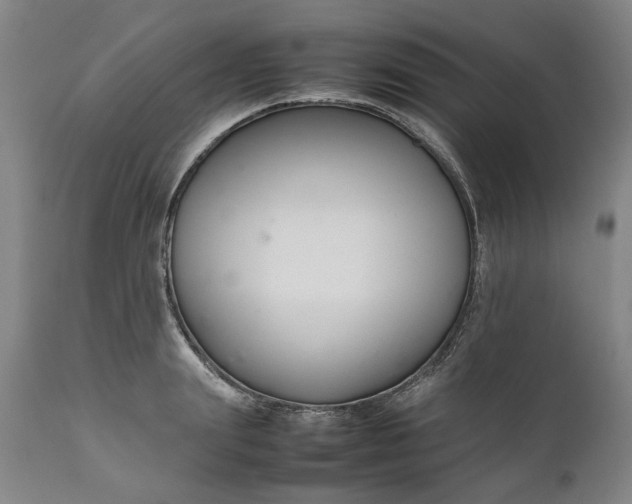 X0000111190847200907151347