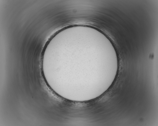 X0000111190848200907151347