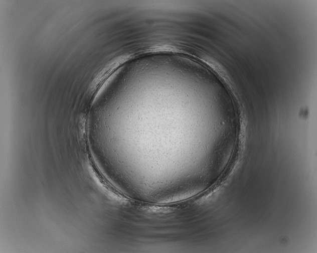 X0000111190849200907151347