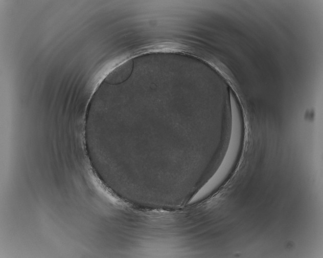 X0000111190850200907151347