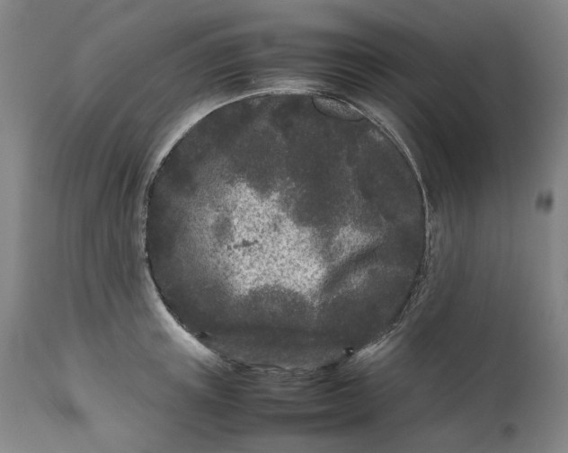 X0000111190851200907151347