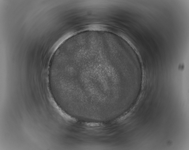 X0000111190853200907151347