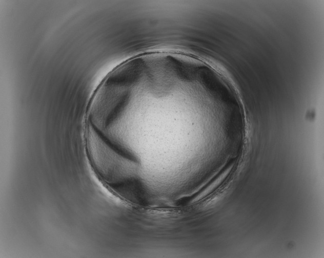 X0000111190855200907151348