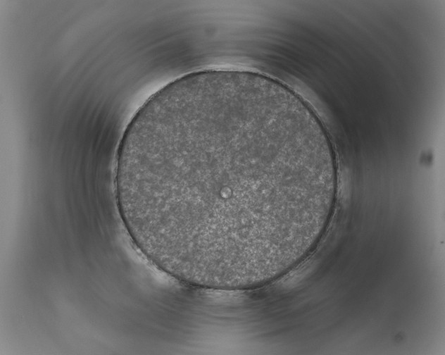 X0000111190856200907151348