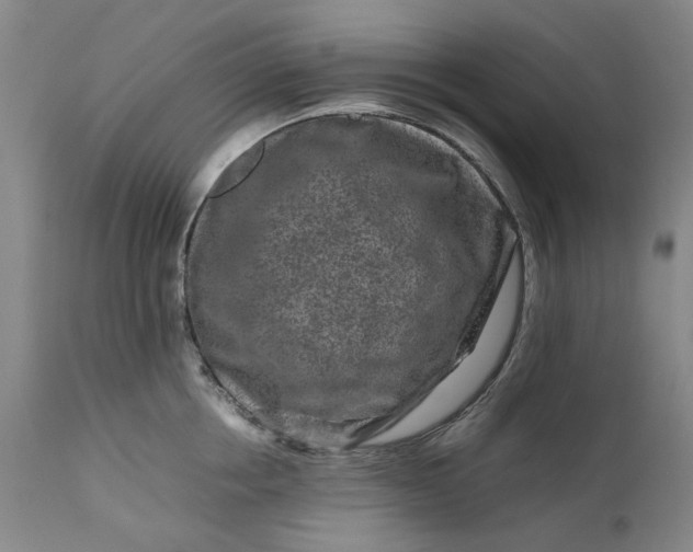 X0000111190858200907151348