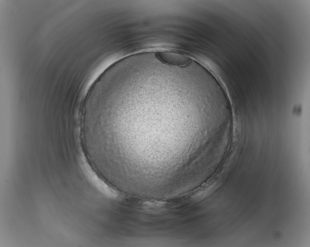 X0000111190859200907151348