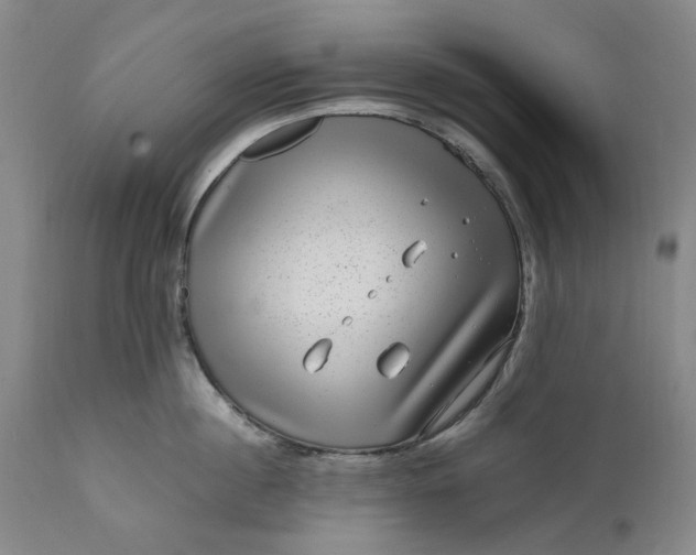 X0000111190860200907151348