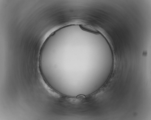 X0000111190861200907151348