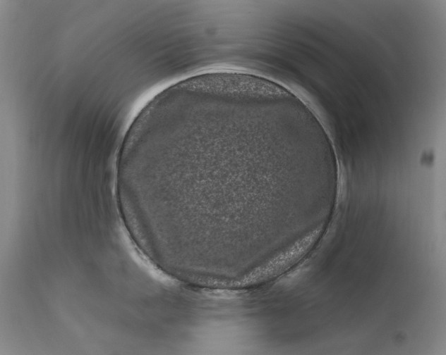 X0000111190862200907151348