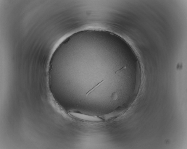 X0000111190864200907151348